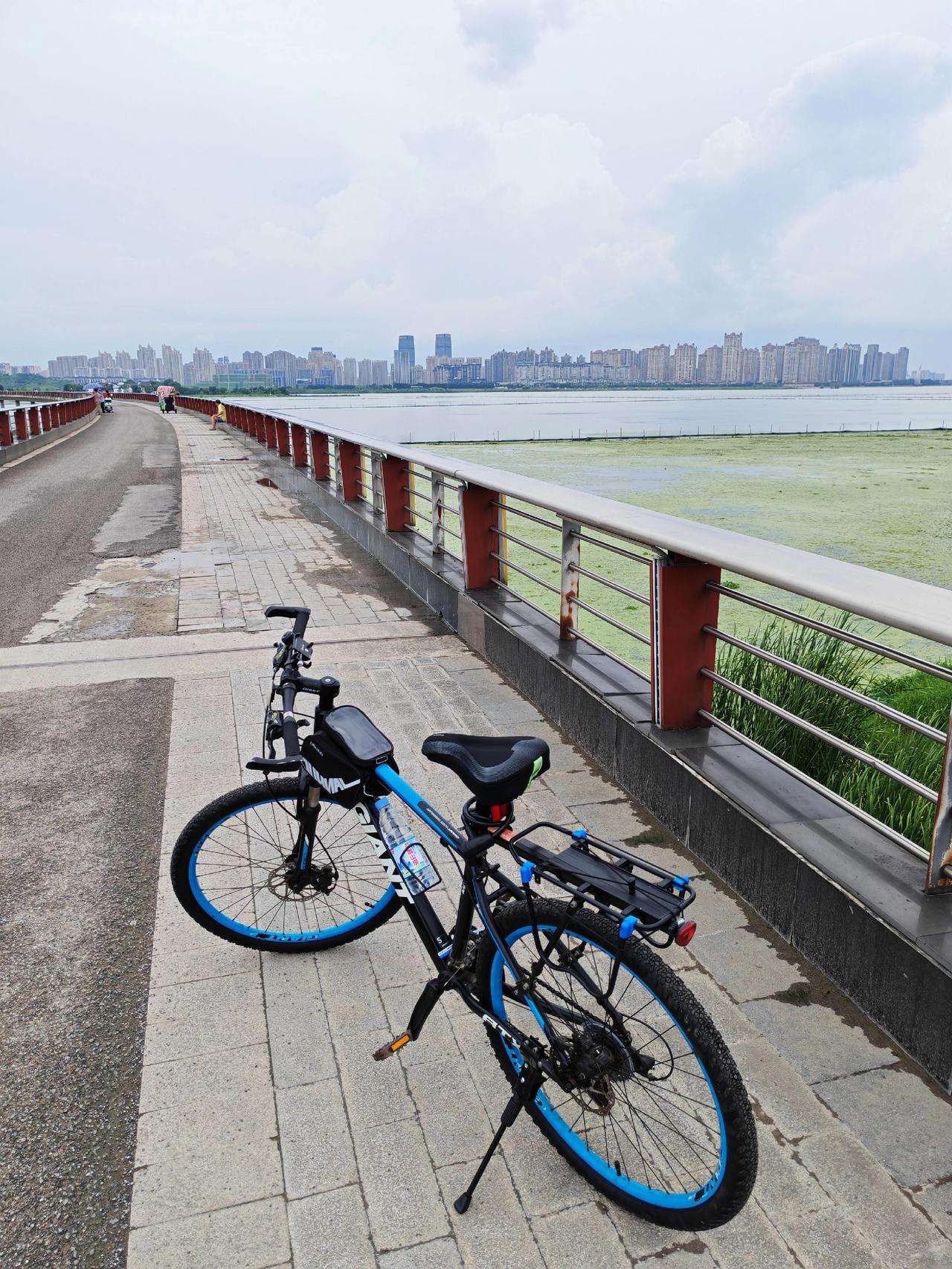 骑行🚴随拍🎥 环湖自行车 户外骑行记录 低碳出行风与自由，都在路上