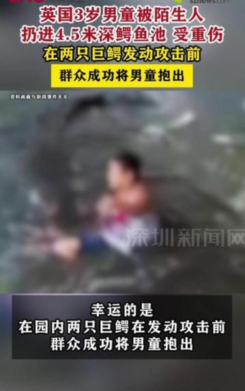 “太可怕”！6月18日，4.5米高鳄鱼观赏区，30岁男子突然抱起3岁男童，直接扔