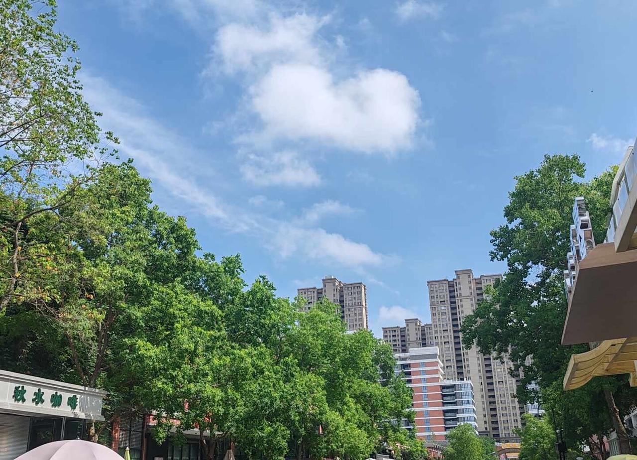 好天气多一点
还是更喜欢阳光明媚的时候天气好的时候 站在晴朗里