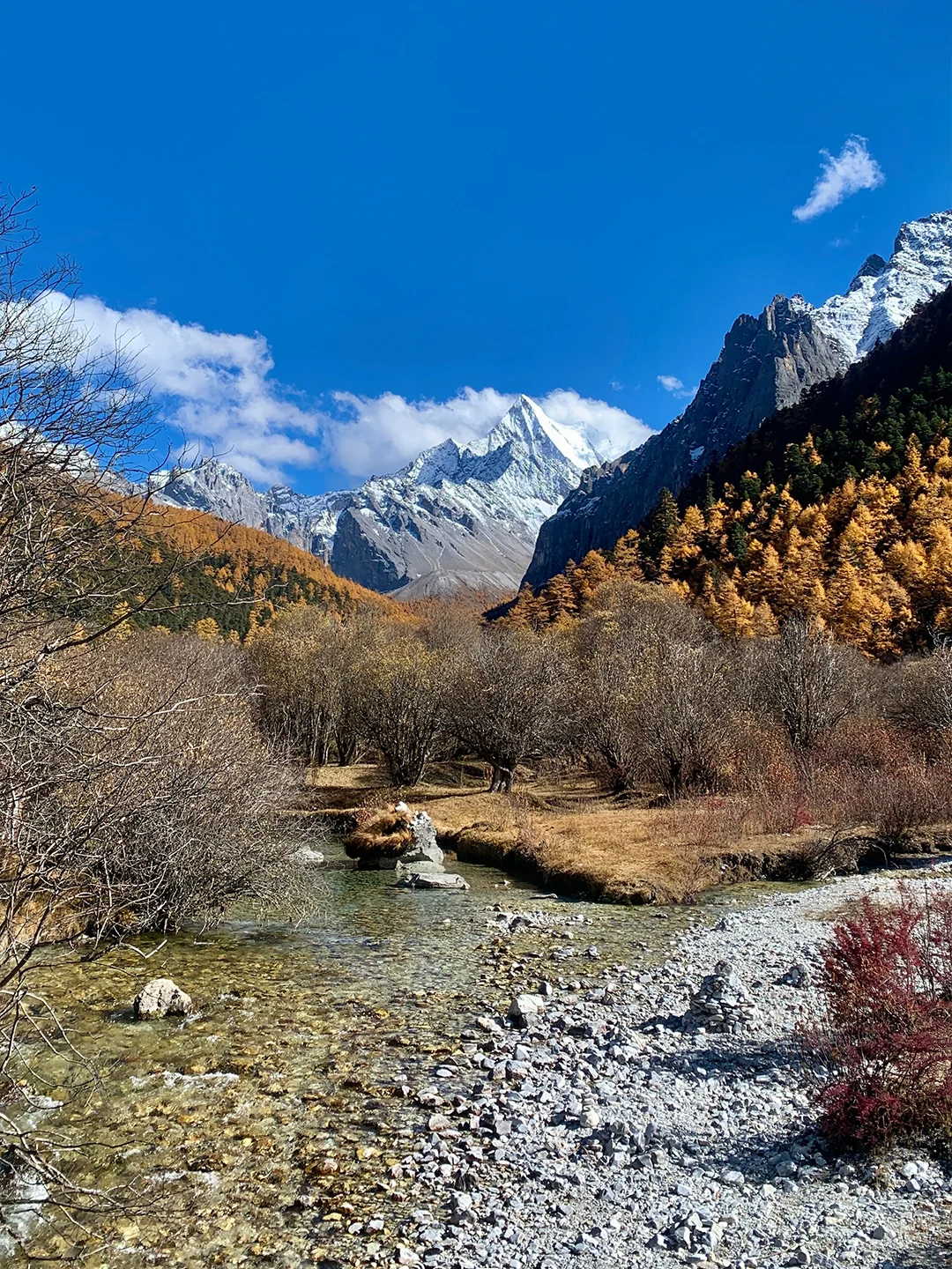 11.1📍进来欣赏稻城亚丁最纯粹的秋景