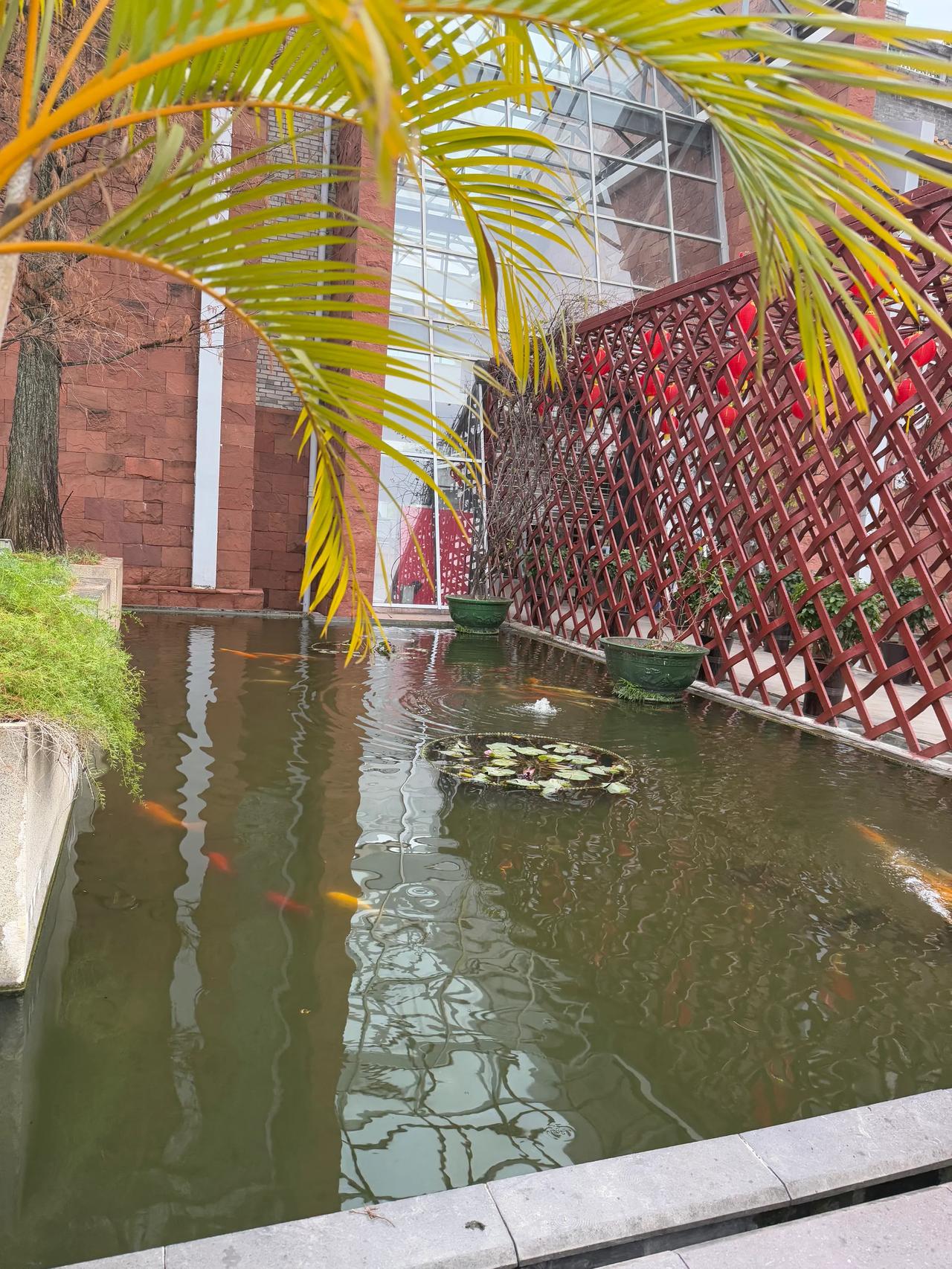 今天去完东莞博物馆，又来可园博物馆，东莞所有值得去的，必须去的都去了，这样才算没