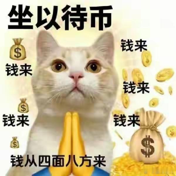 波动这么大，一般人真扛不住，真的很考验定力，特别是和星哥一样，满仓的人。择优而取