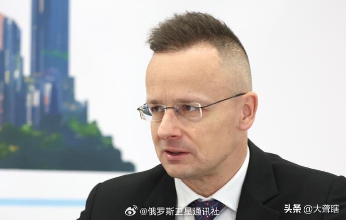 【匈牙利前外交部长要来比亚迪公司工作了】
据外媒消息，匈牙利前外交部部长彼得·西