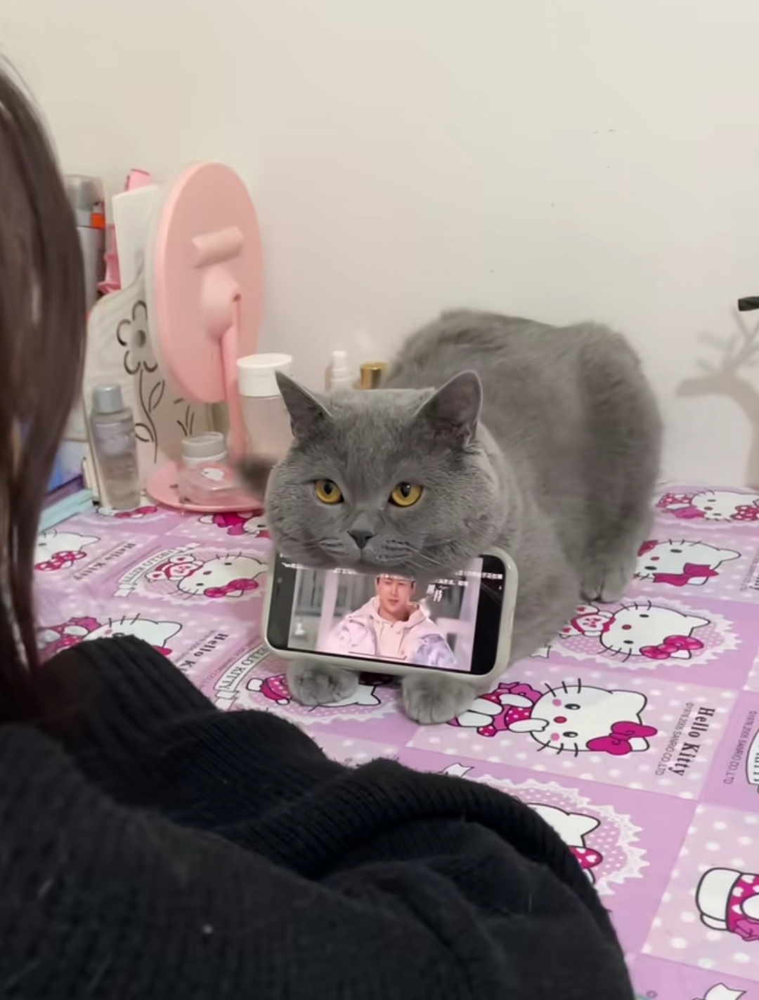 猫猫牌手机支架，谁幸福了我不说 ​​​
