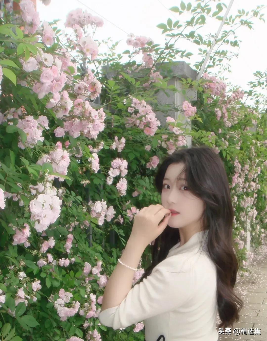 少女与花海，浪漫邂逅