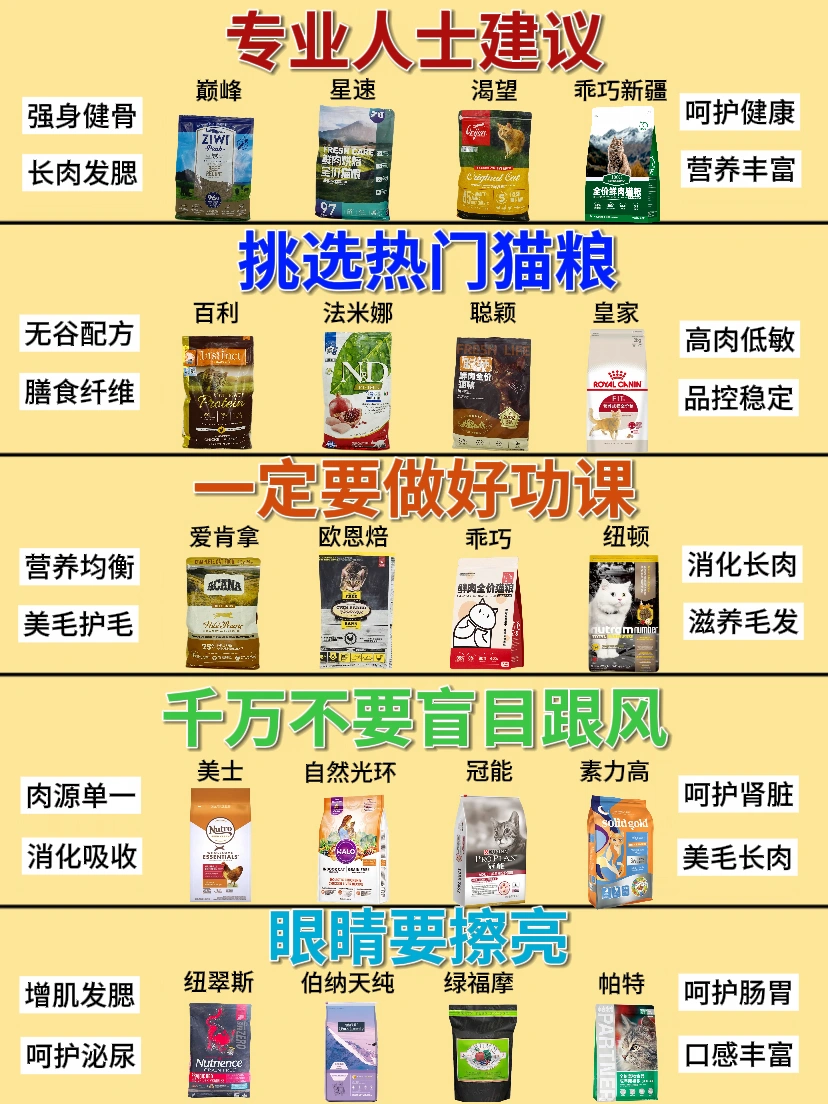 选猫粮告别盲目跟风！新手养猫少花冤枉钱