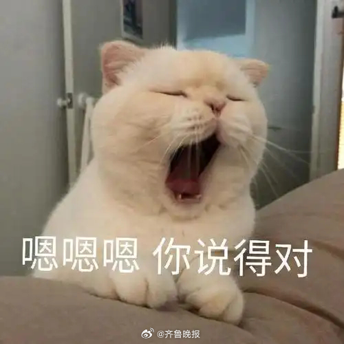#早安# 有些东西根本不配占据你的情绪，人生就是场体验，请你尽兴点。 