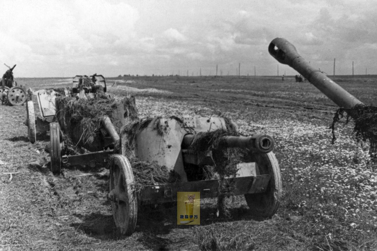 这场仗打得不太好，不过炮还是不错的——1943 年，东线，库尔斯克战役期间。德军
