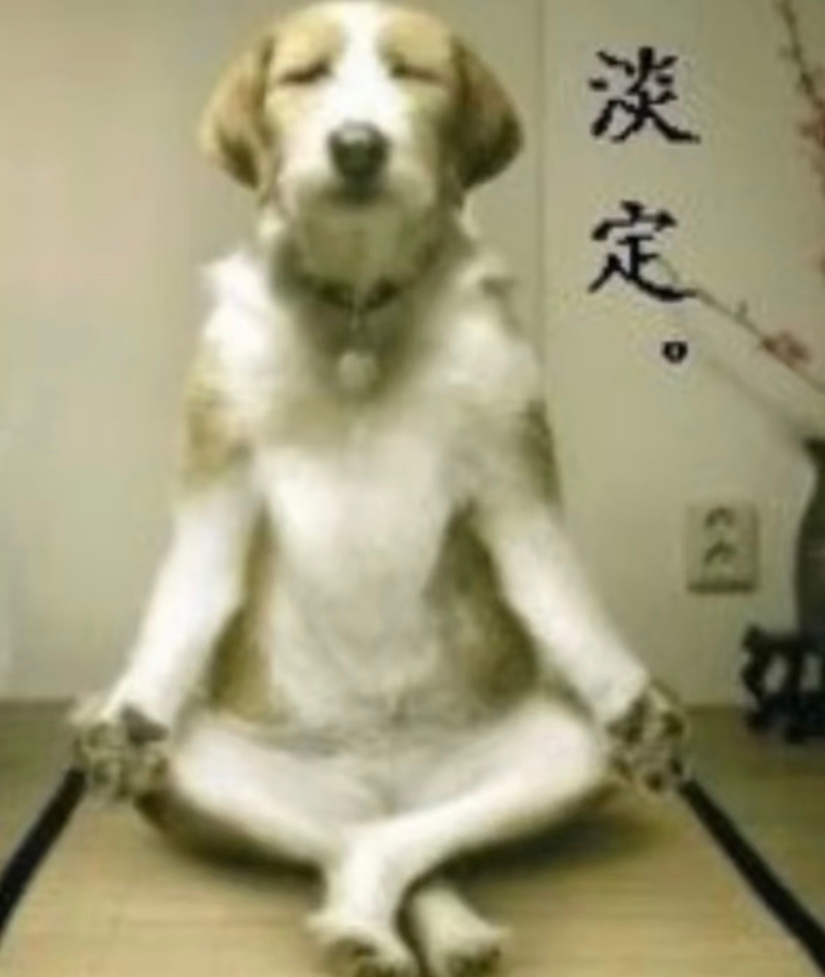 分享图片 ​​​