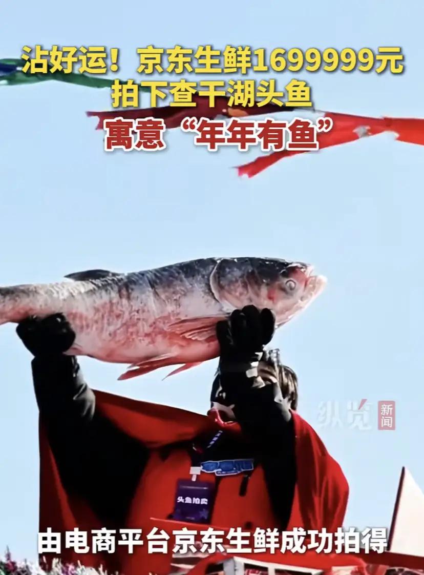 吉林查干湖天价头鱼169万成交！京东一掷千金背后，是千年渔猎文化的狂欢还是商业营