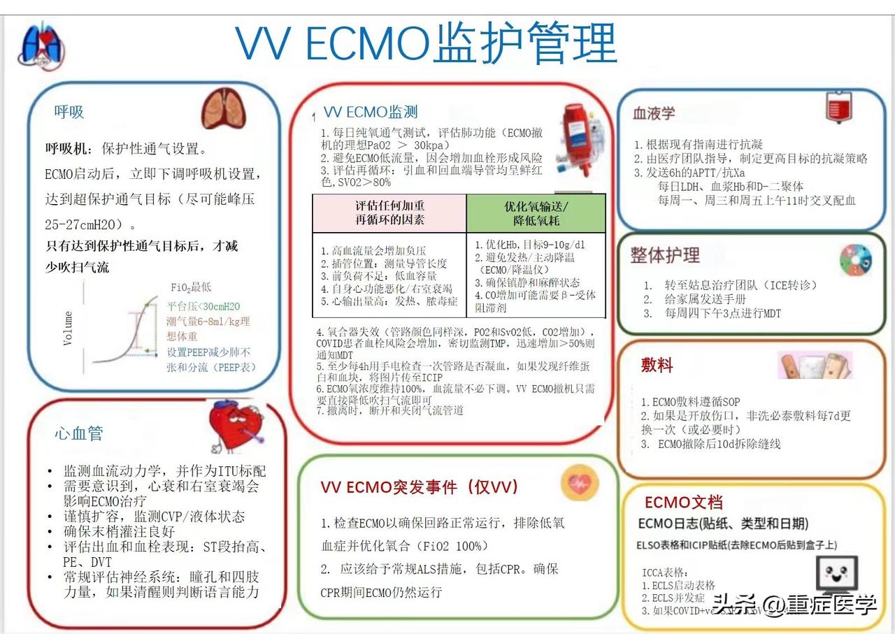 VVECMO的监护与管理