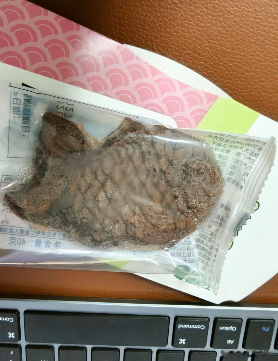 吃点小鱼小肉 