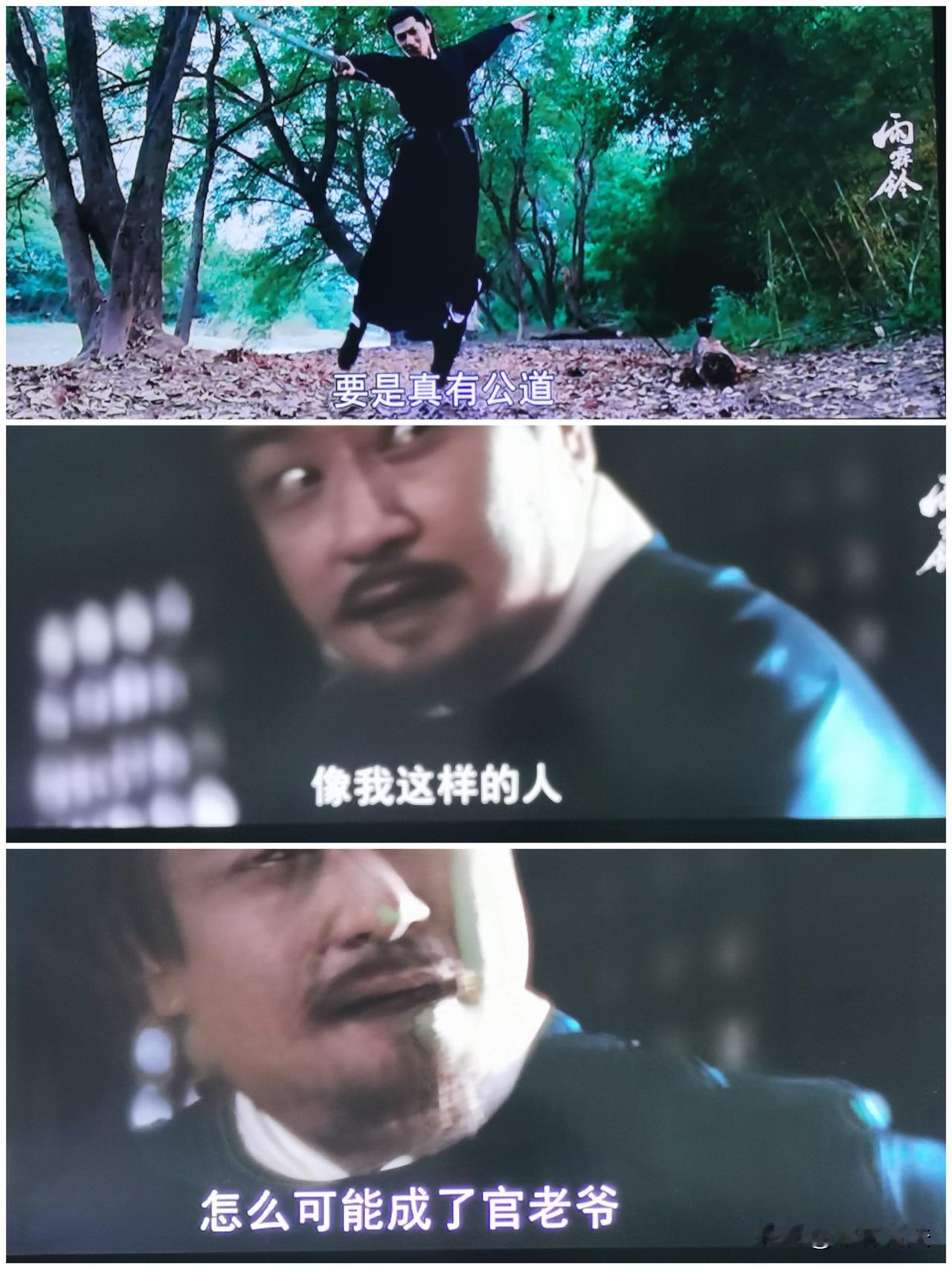电视剧《雨霖铃》像我这样的人……