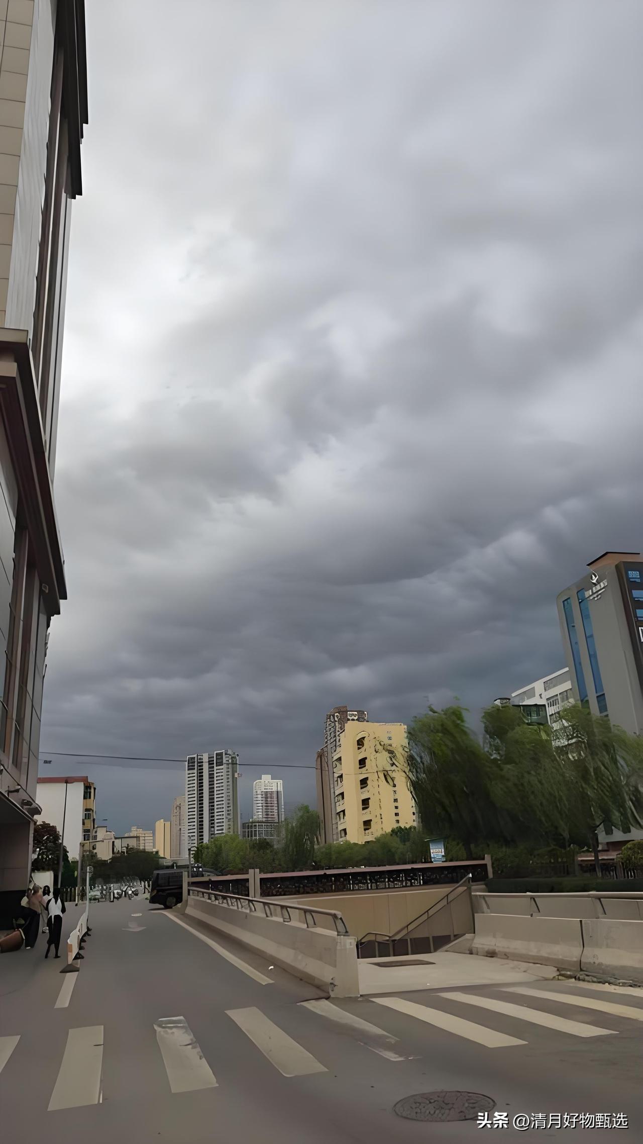 3月23日 阴
 
连日晴好之后，天忽然阴了下来。
 
没有风，也没有雨，只是一