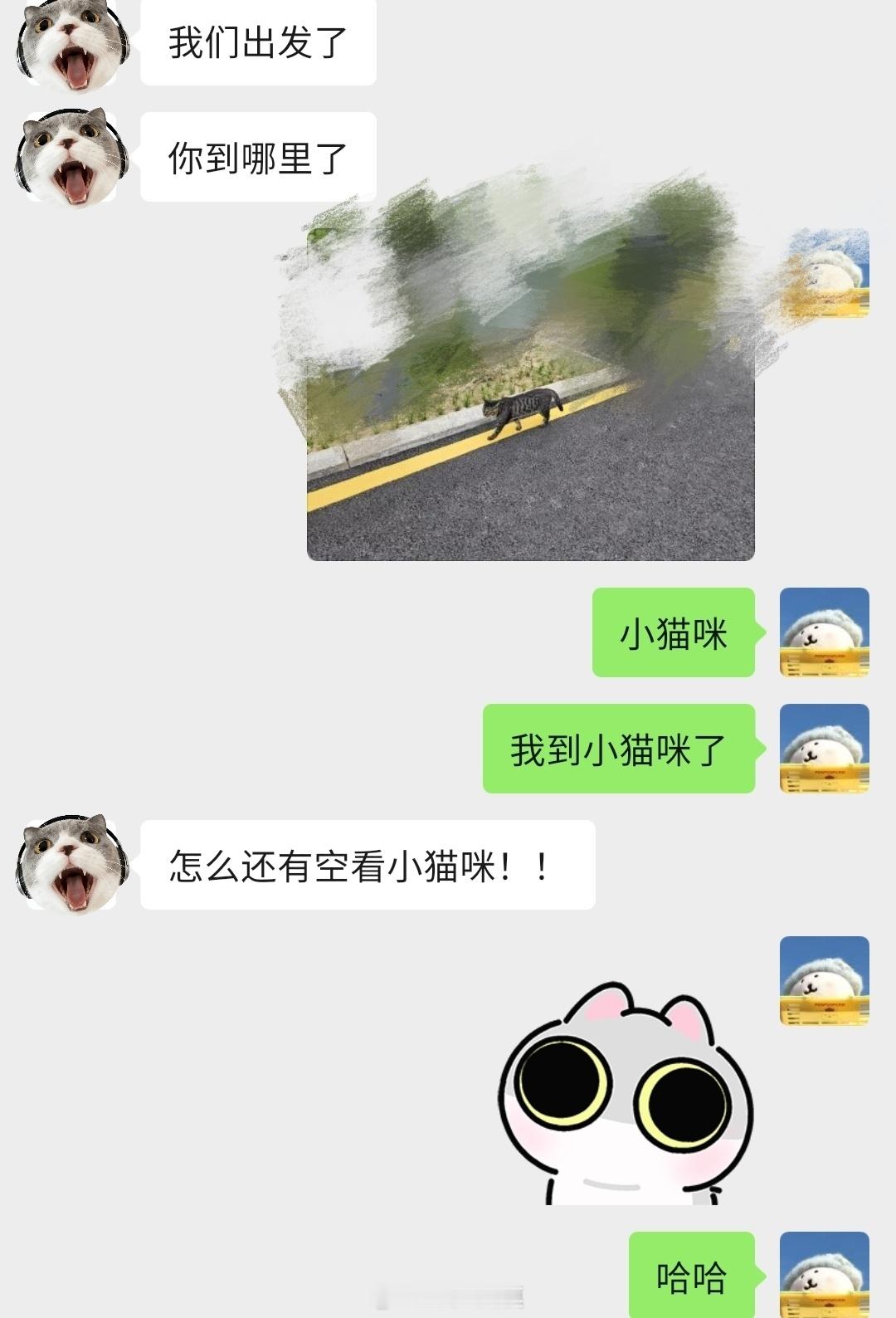 下班！开会快迟到同事问我到哪辽我已到达猫 