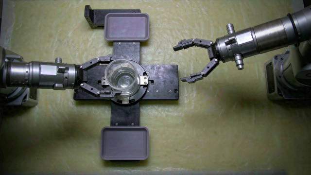 世界模型能模拟机器人动作，为什么端稳一杯水仍要实测？