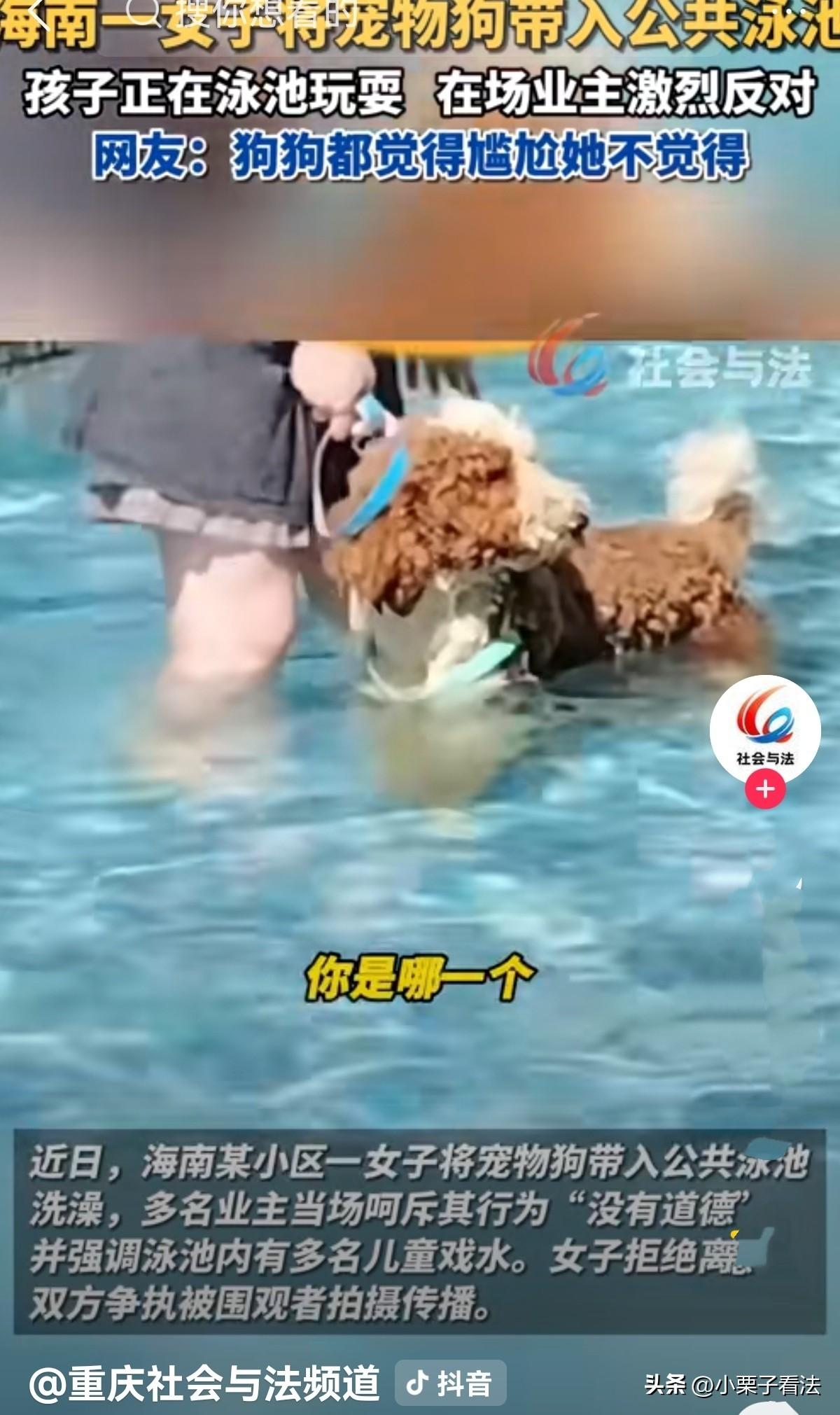 “看还任性不！”海南三亚，一小区公共泳池里，很多大人小孩在里面游泳嬉闹，一女子不