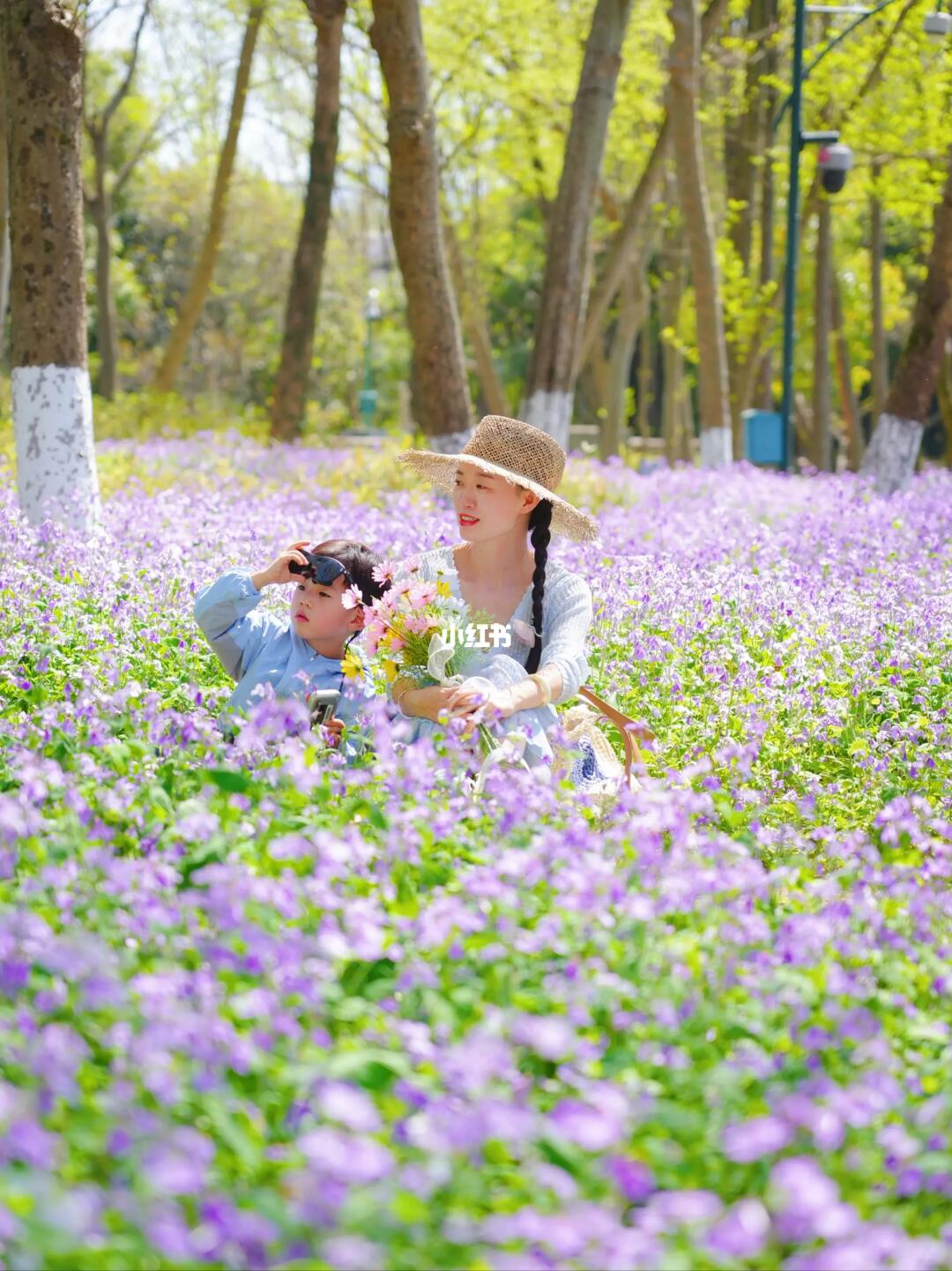 听我说‼️春天是万万次的春和景明