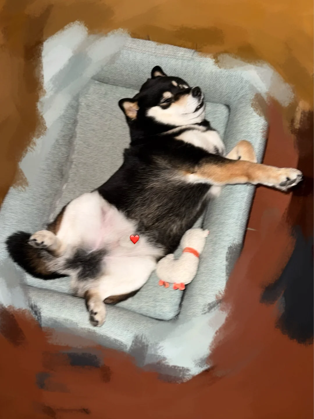 小狗怎么能睡成这样哈哈哈哈