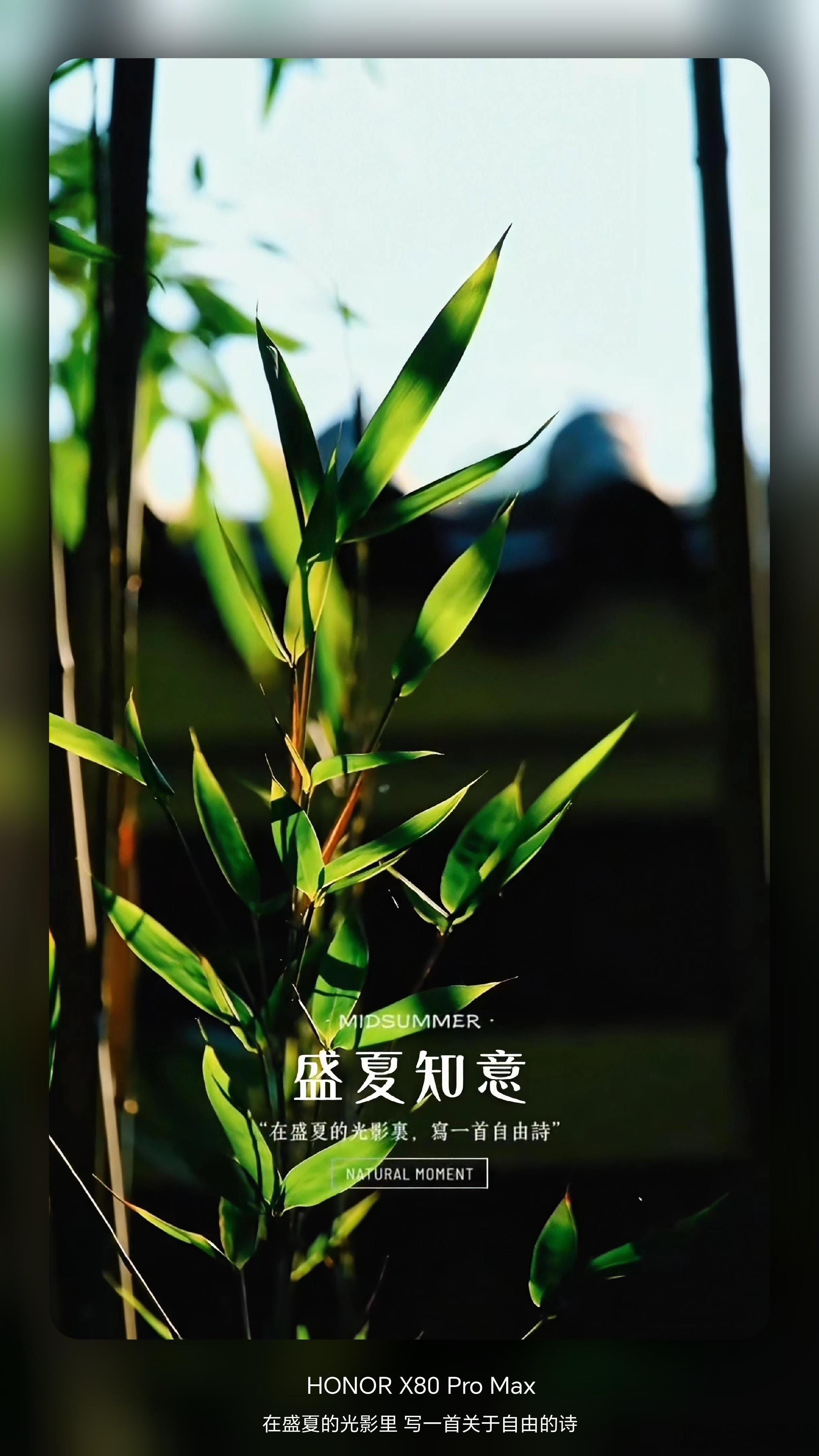你的人生可以在37岁才刚刚开始©在盛夏的光影里写一首自由诗寻人间片刻欢愉,揽清风