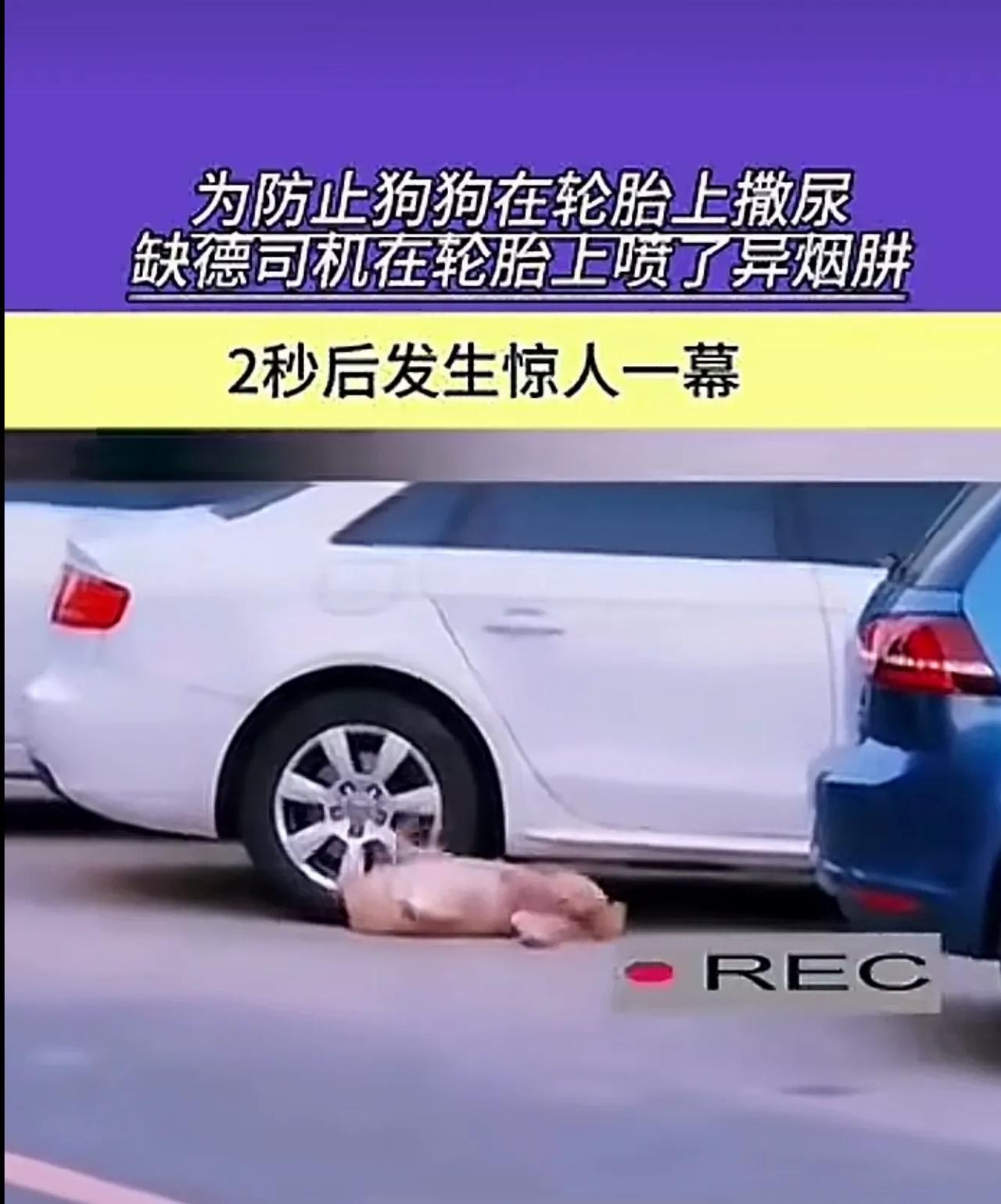 什么是异烟肼？往自己车上喷有啥问题吗？