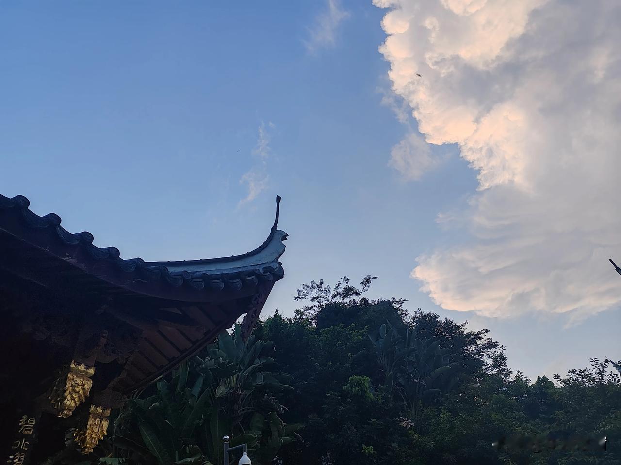 刷到一位网友说，感觉讲的很在理！买房子没办法全款就别买，买车子没办法金款就别买，