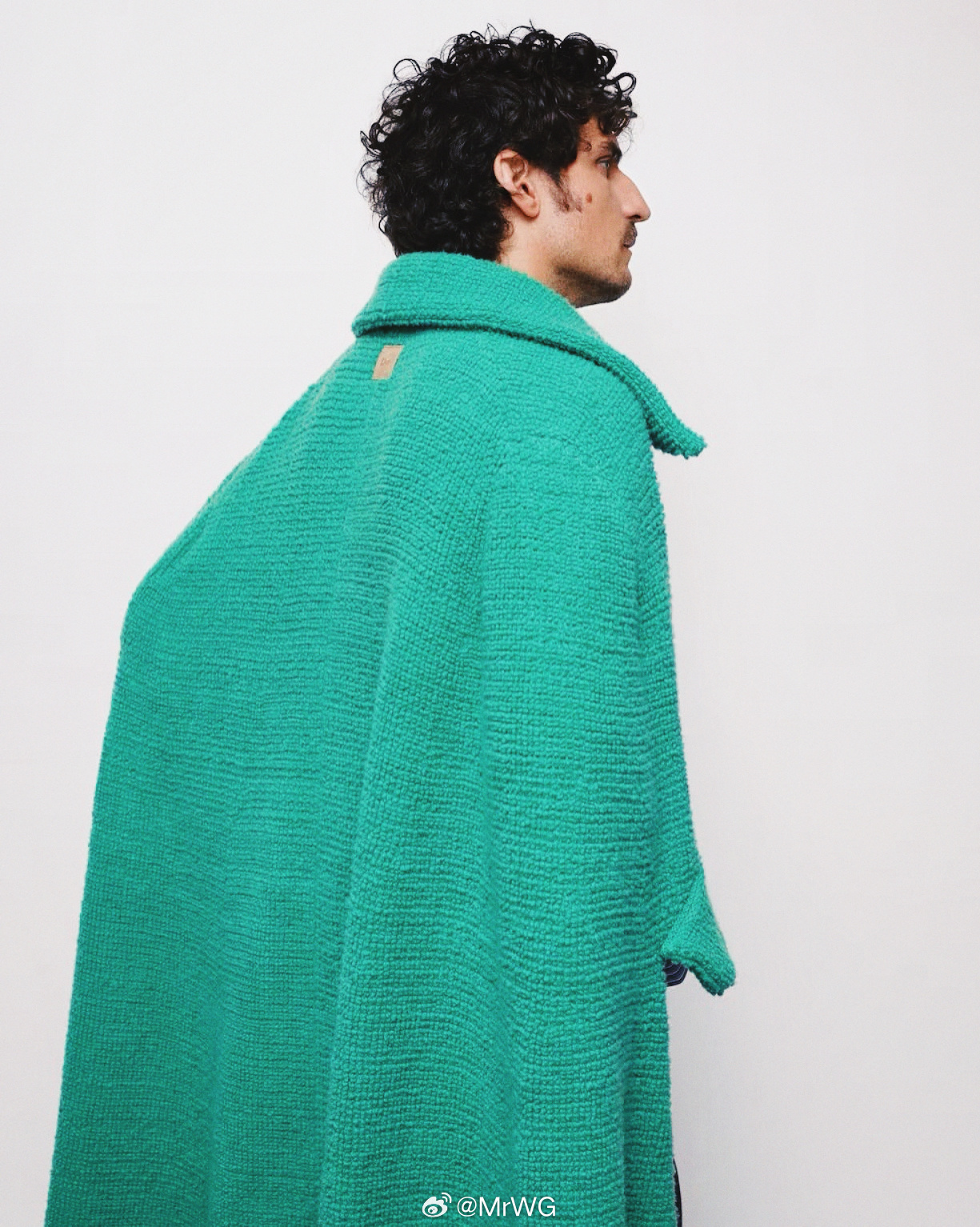 MrWG影由相生 法式雕塑脸，和春日的白玫瑰——路易·加瑞尔路易·加瑞尔 for