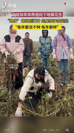 笑不活了！在河南商丘，四姐妹跪在地里求爸爸放过她们：“爸爸，以后别再种地了，我们