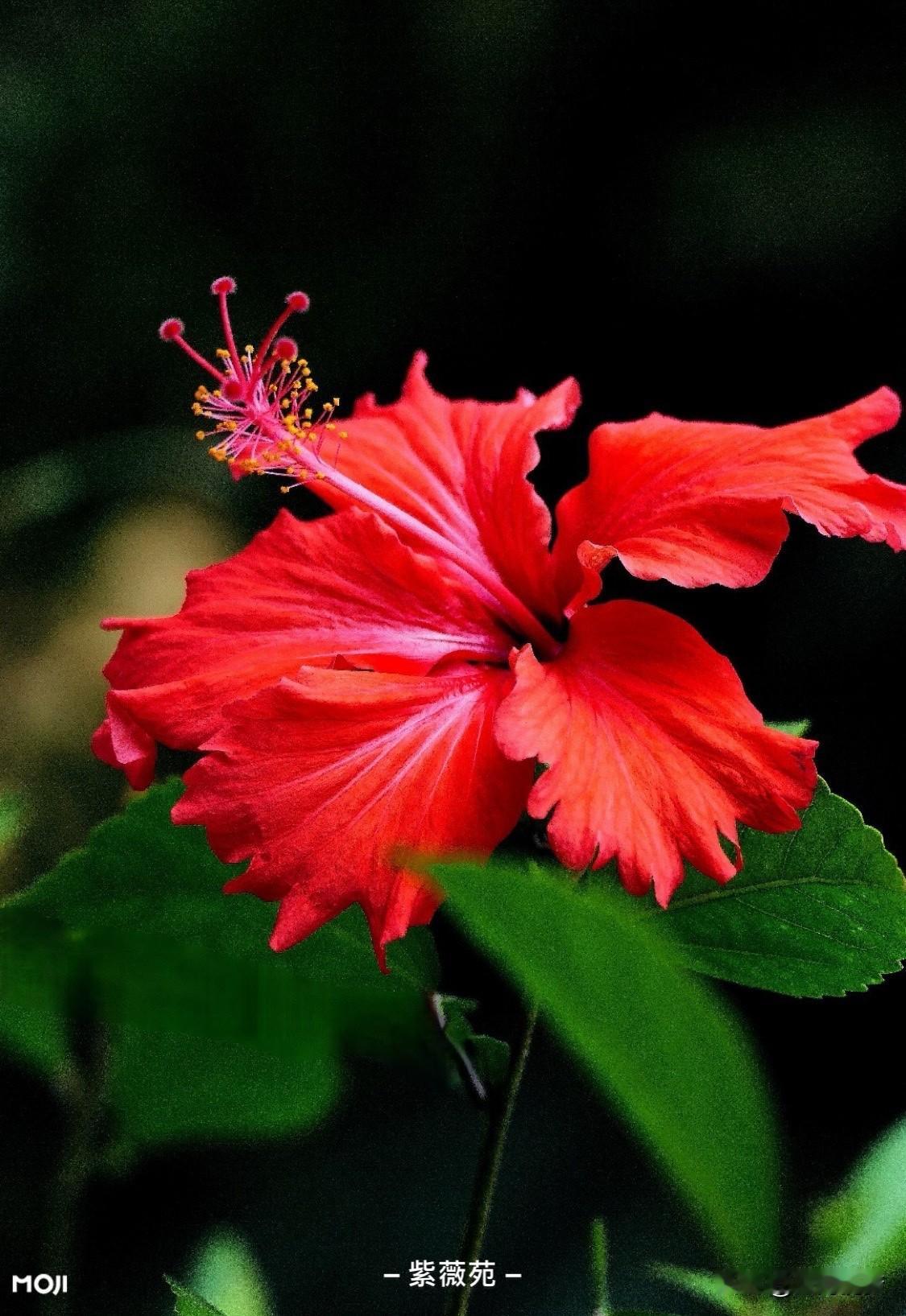 兄弟之间相处，真诚是永远的必杀技。我有几个铁哥们，这么多年来，大家有啥说啥，从不