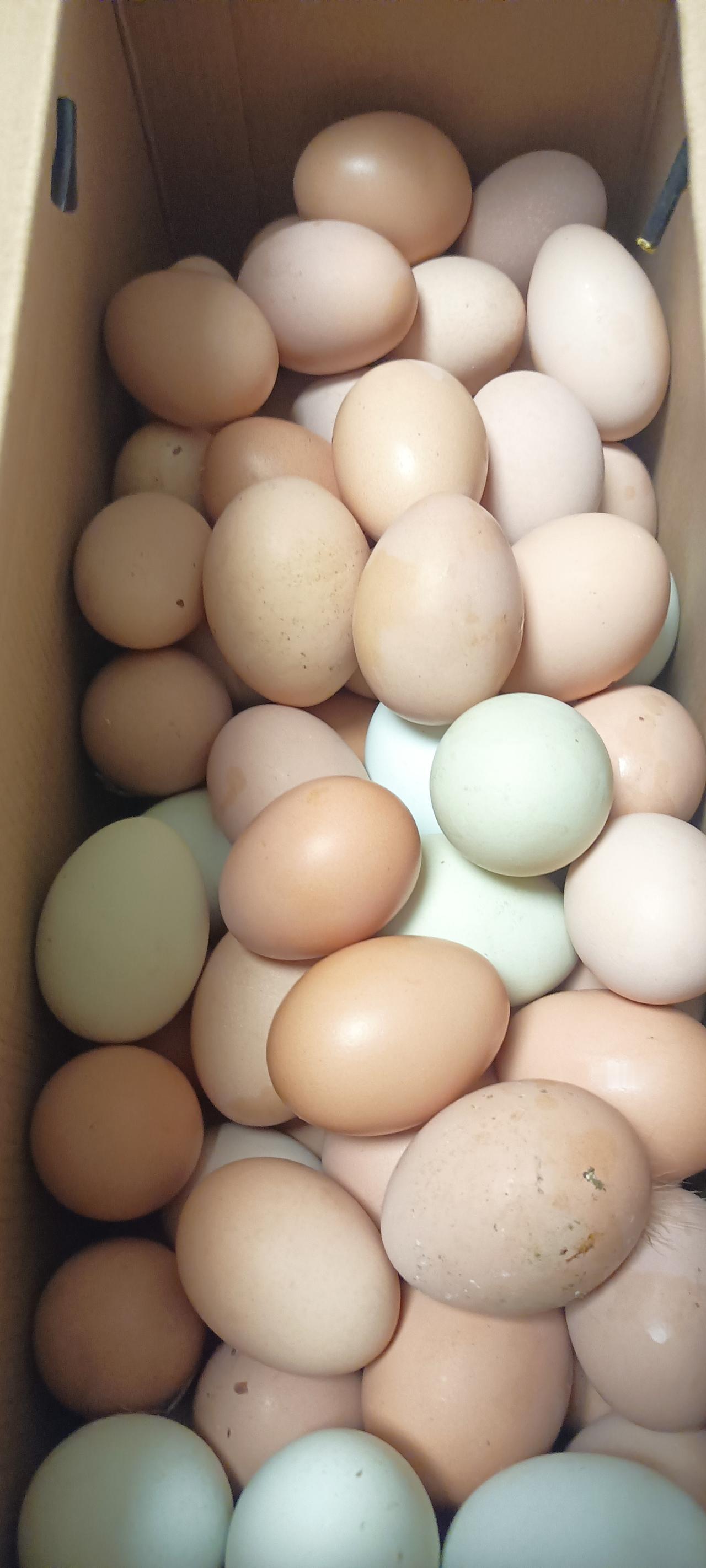 总有人给我家送礼物，这人情我可怎么还啊！
昨天闺蜜给我送了帝王蟹，今天又有人给我