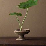 小漪漪读读科技