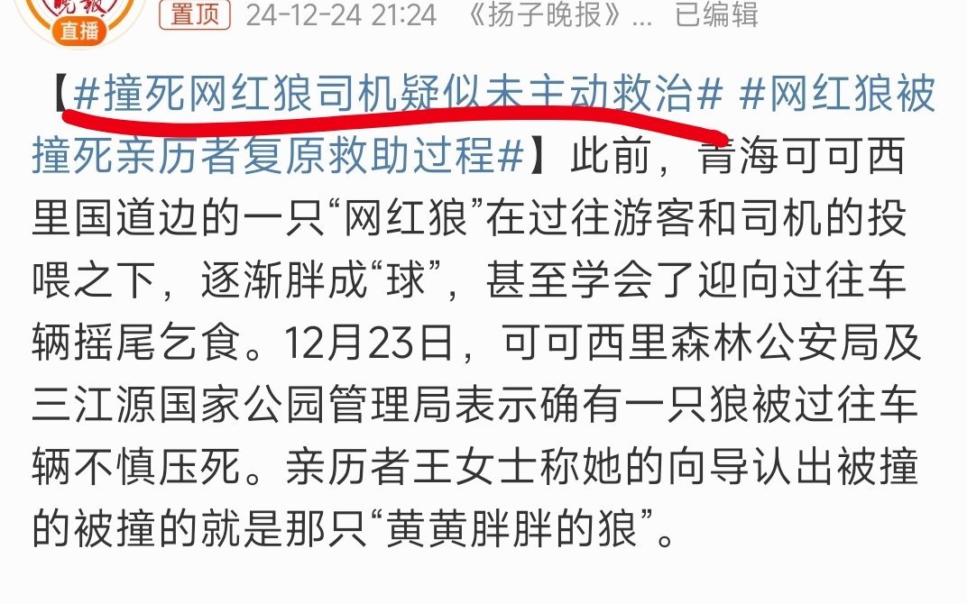 撞死网红狼司机疑似未主动救治 脸是自己挣的，公信力也是自己挣的。有的群体一边委屈