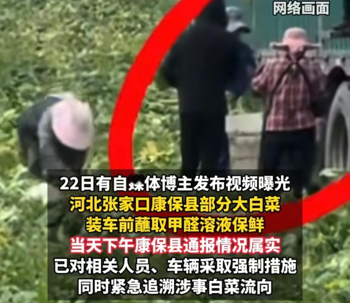 有些原本寻常的东西，现在让人不放心了？

这几天网上在说白菜的事。看了一圈，心里