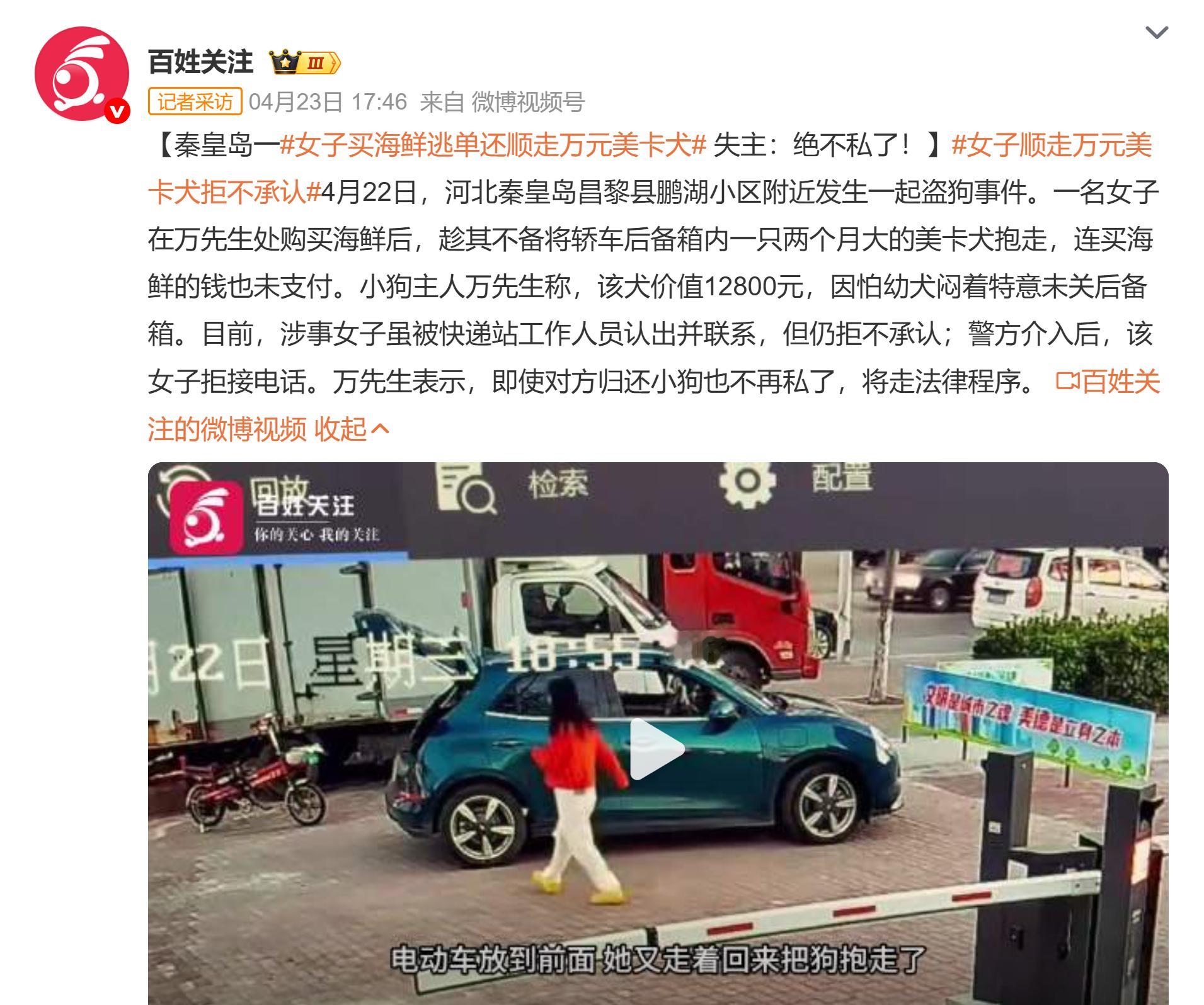 女子顺走万元美卡犬拒不承认 第一，这个不叫顺走，这个叫盗窃。作为媒体运营，为什么