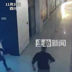 如此决绝，究竟所为何事？
在四川某大厦的五楼，一名女子脚步匆匆地奔向栏杆，毫不犹