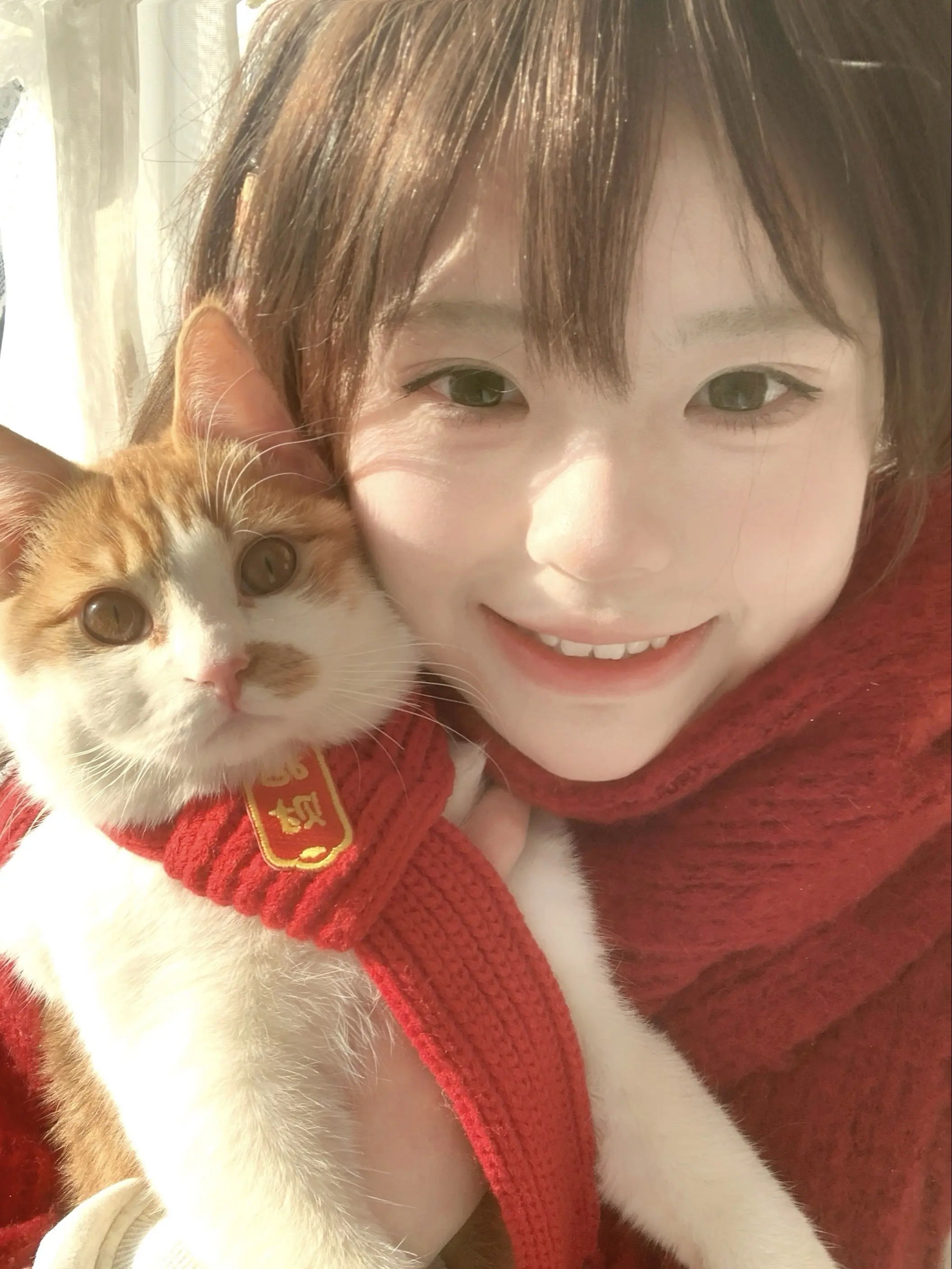 有了刚强以后 别的小猫只有一般可爱了。