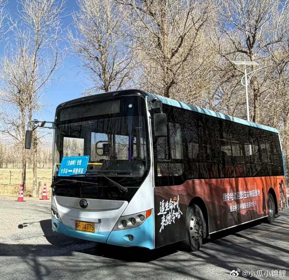 生命树真的给青海带来了真正的能量当地人真的细节满满免费乘坐以外，连海拔，带什么物