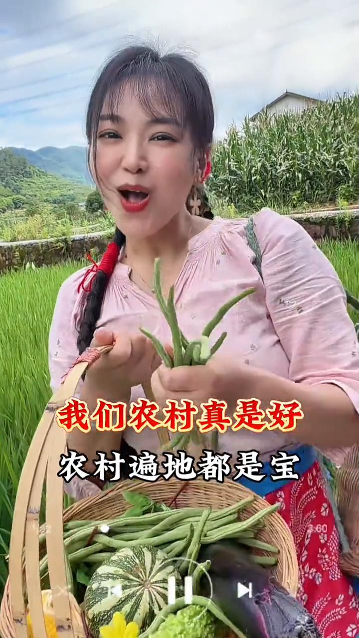 我们农村真是好，农村遍地都是宝，绿色食品处处有，左右邻居到处跑，空气新鲜环境好，