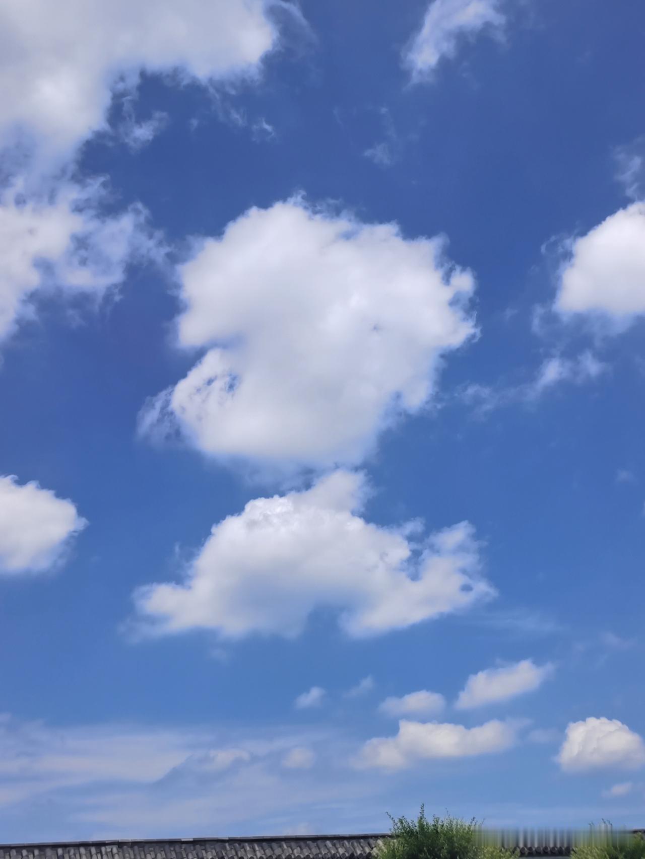 每当遇到这样的问题，气就不打一处来。你是想说学历低的人能力强？还是想说学历高不如
