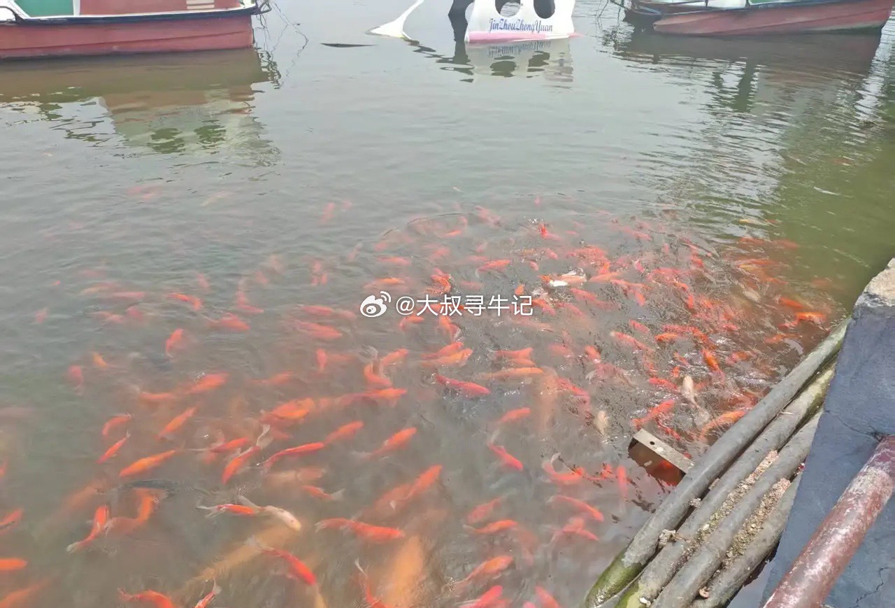 千金难买牛回头！a股牛市继续推进！分化结构性牛市仍然会继续推进！轻指数重个股！只