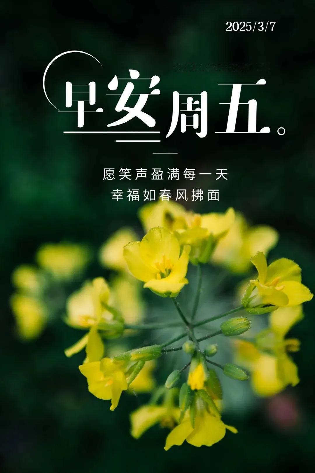 📚三月絮语
🔷第一章·温言卷
一句暖语拂倦意，两声问候润心田。
三更星子垂夜