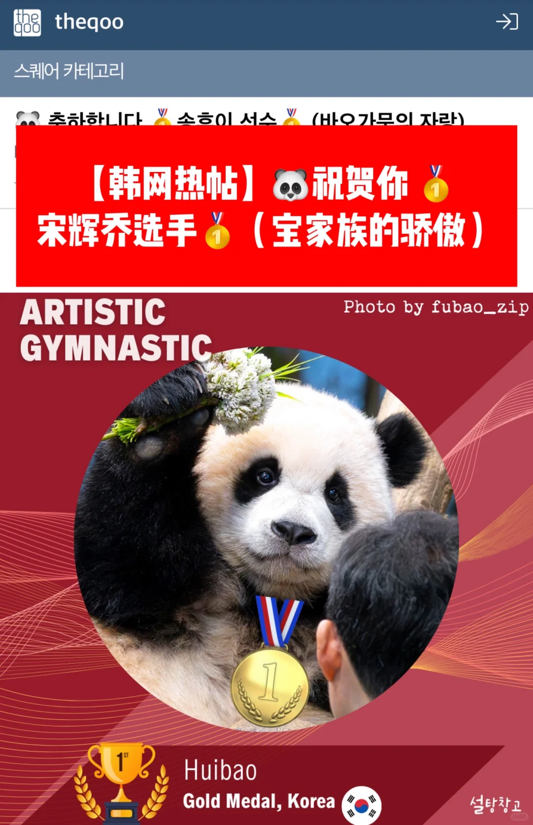 🔥韩网热帖｜🐼祝贺你 🥇宋辉乔选手🥇