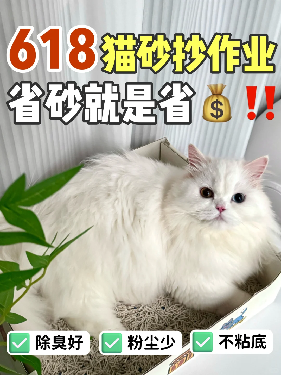 618安全下车⚠️诚不欺我！