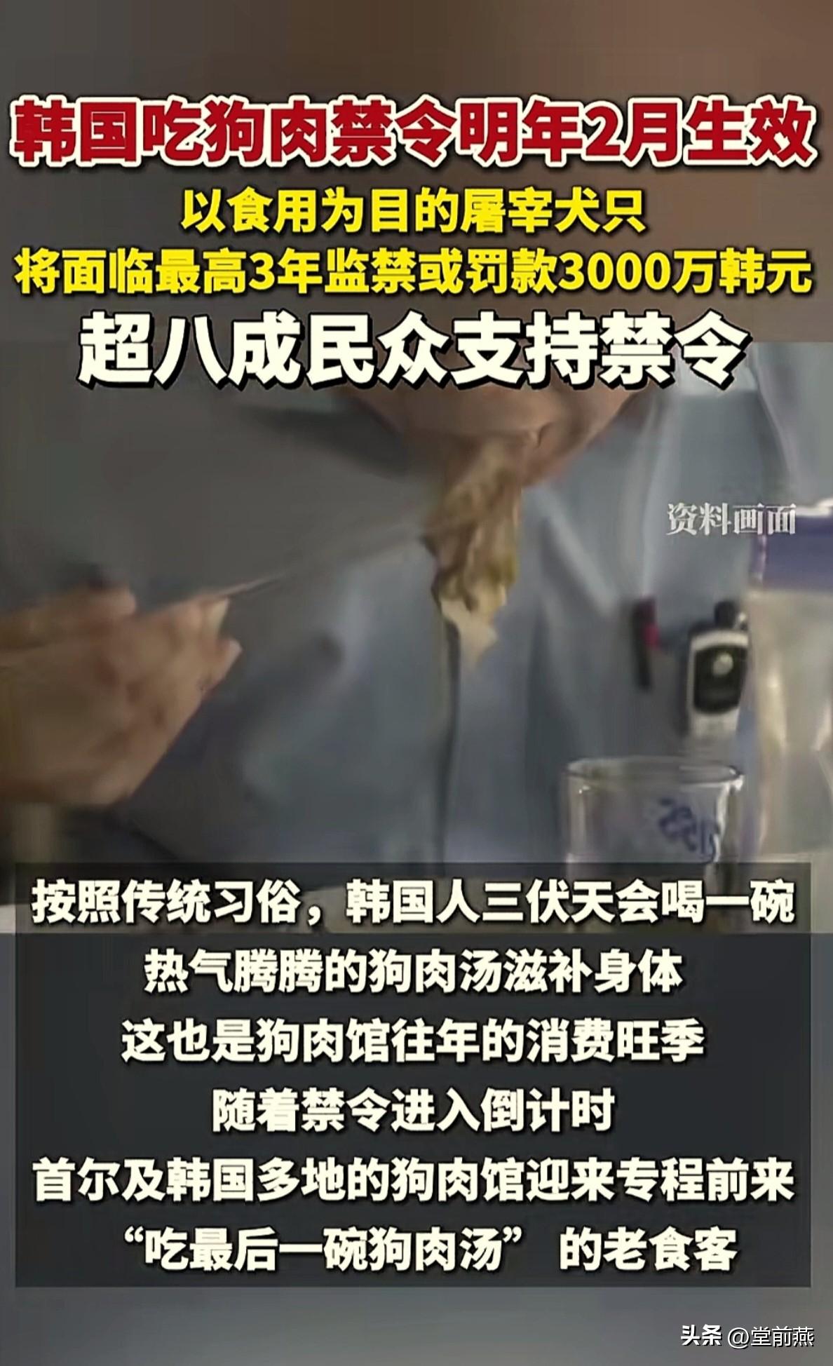 以后韩国不能再随便吃狗肉了，新的吃狗禁令明年2月正式生效。

从明年2月开始，在
