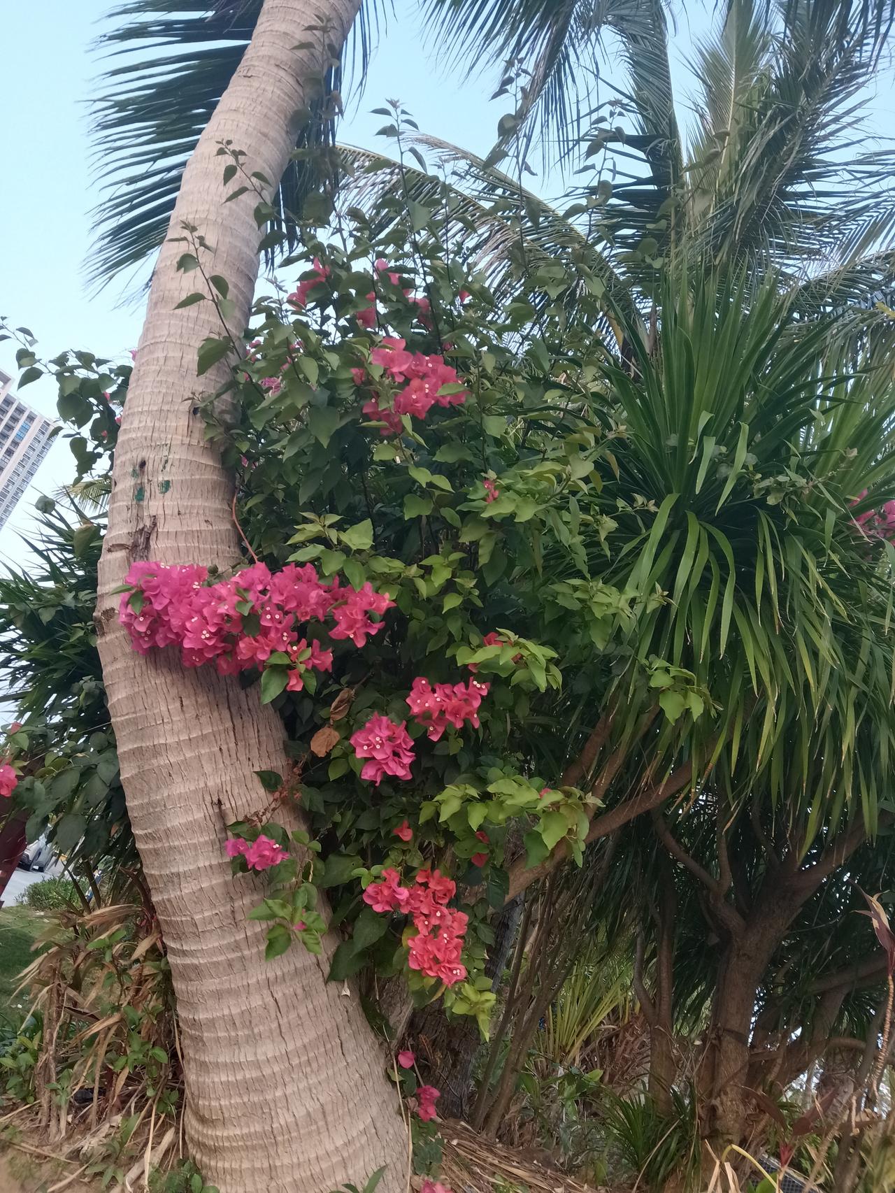 岁月真是个神奇的东西，它教会我不少道理。
以前总憧憬未来，忽略当下，现在才懂生活