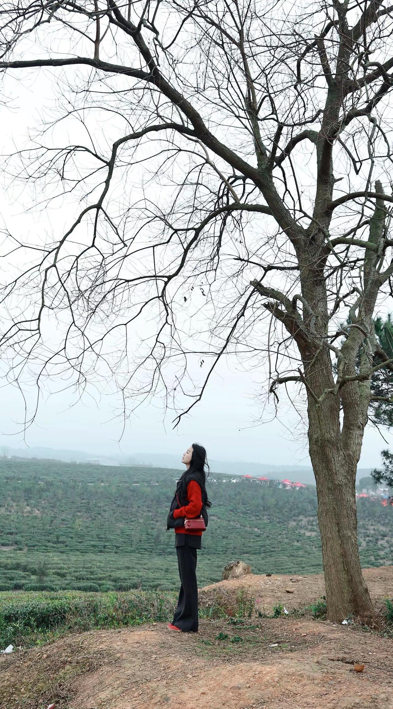 愿新年胜旧年 愿将来胜过往