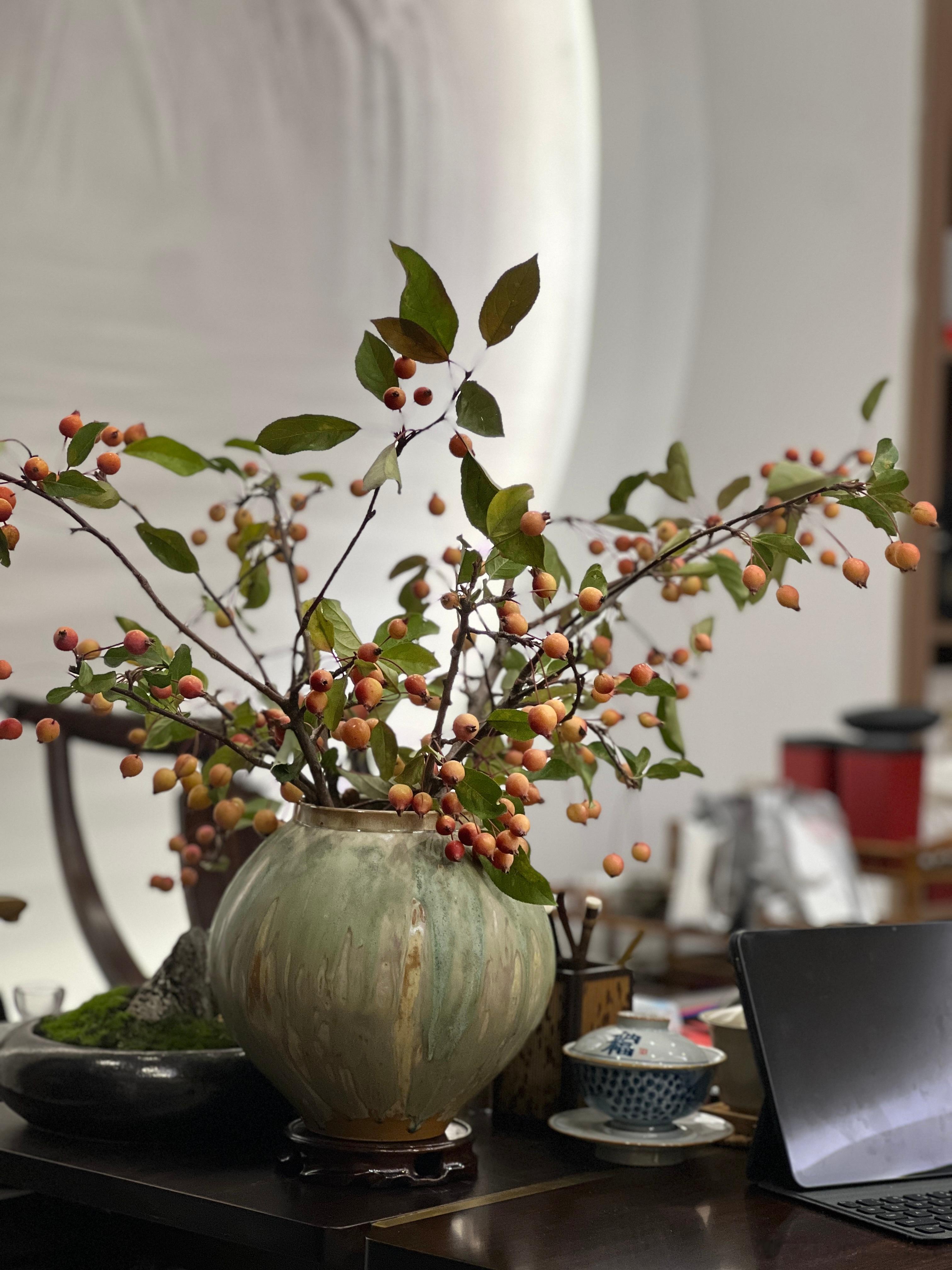 “总有一天，你热爱的事物会反过来拥抱你。”#茶[超话]#  ​​​