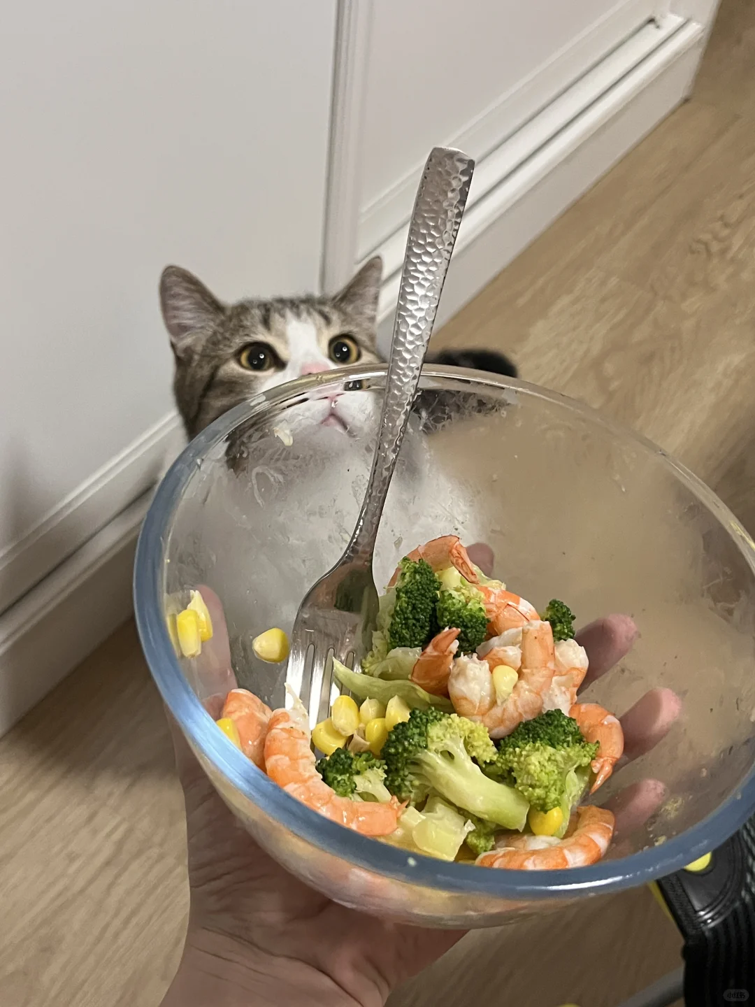 麻麻酱，可以给我看看吗