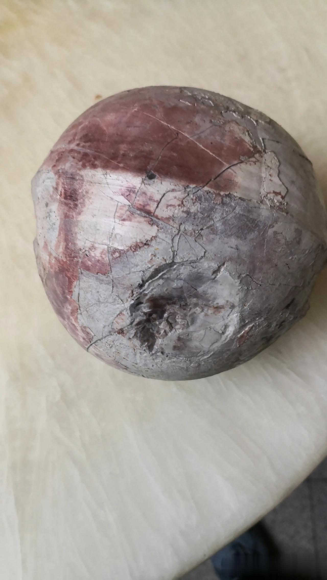 这是什么东西？有人认识吗？