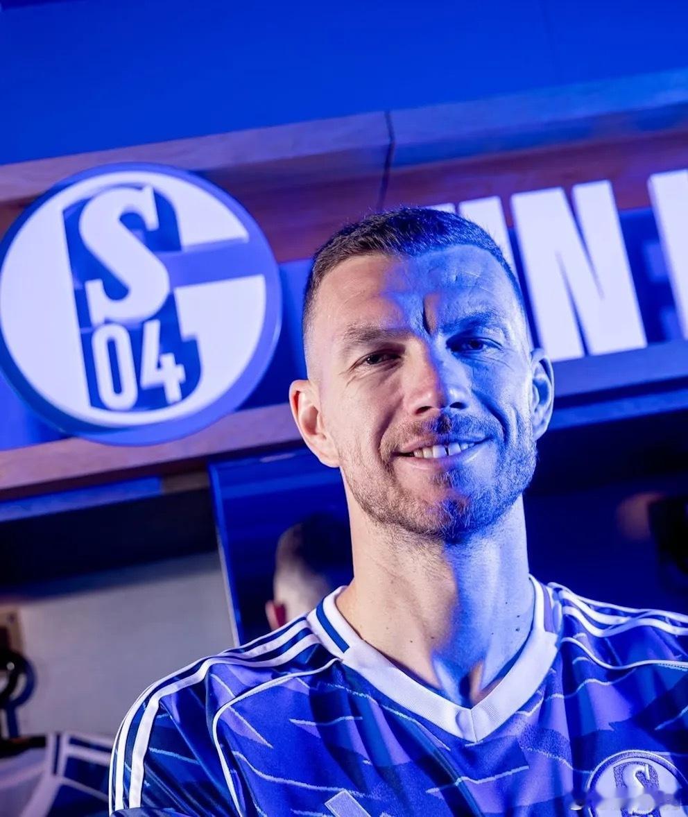 沙尔克04新10号：哲科 